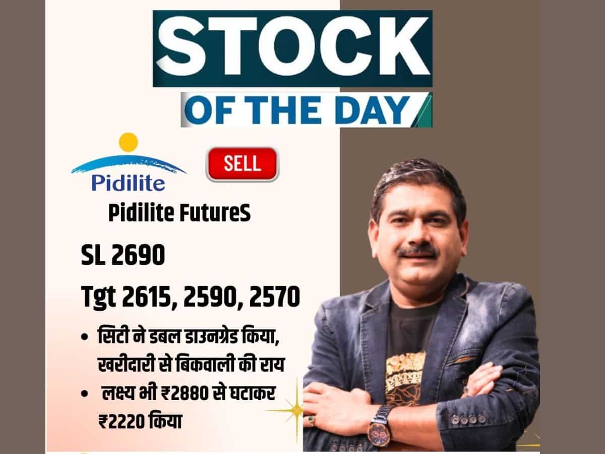 Anil Singhvi stocks