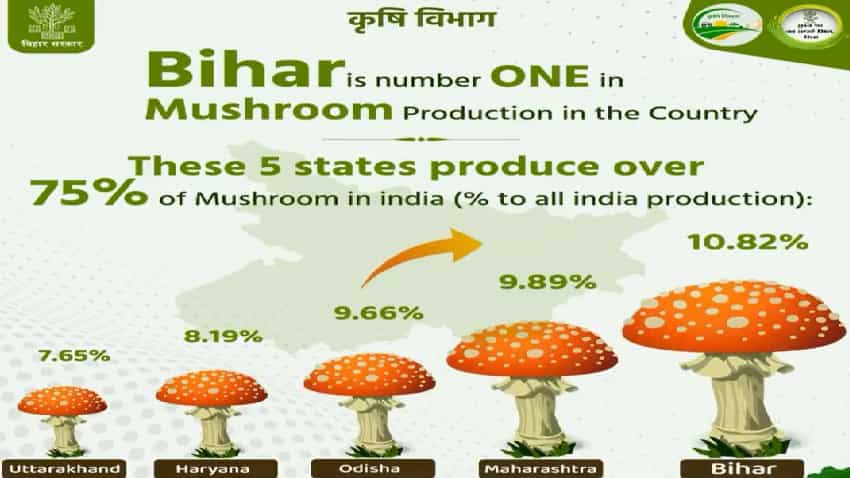 Bihar Mushroom Farming