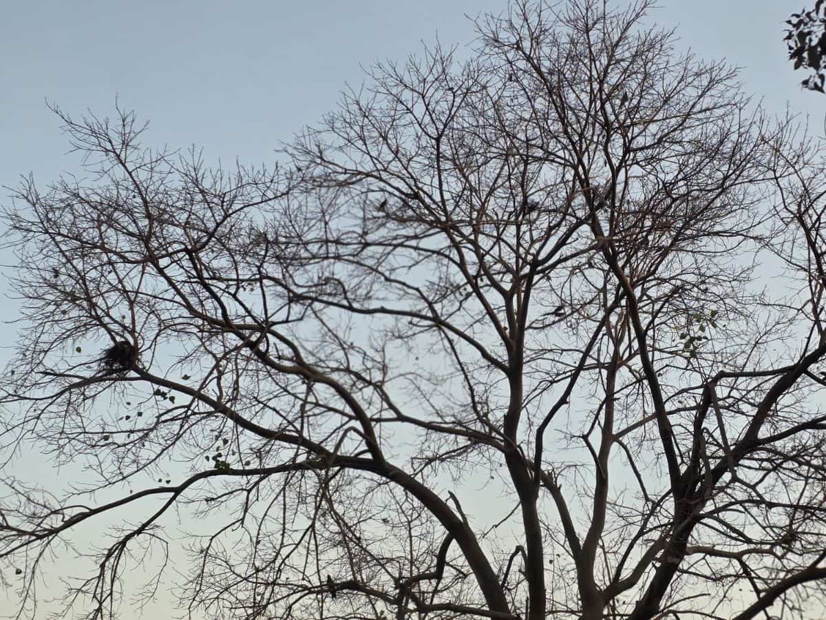 cmf phone 2 pro review price india specs features camera battery design