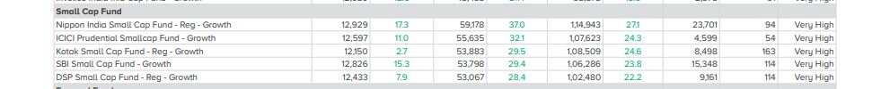 Small Cap Funds