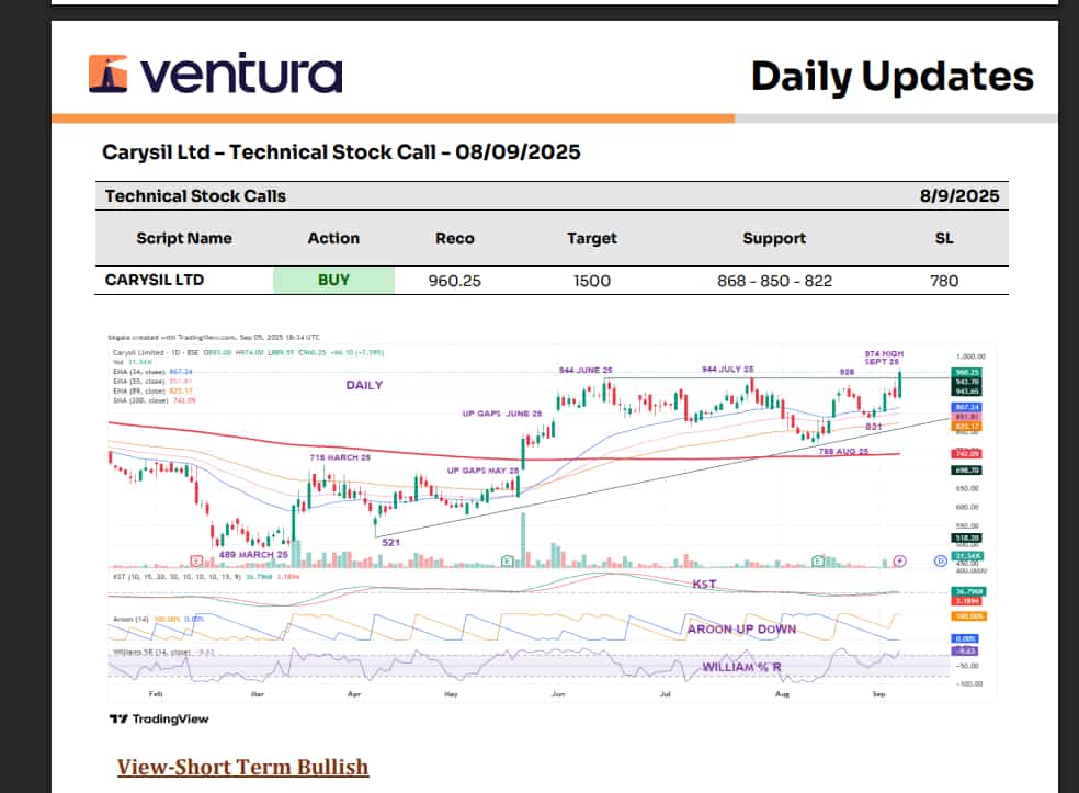Carysil Share Price Target 2025