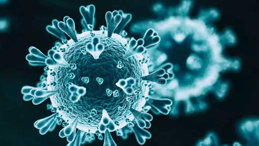 New Virus in China 2022, Zoonotic Langya, Langya virus found in China, Langya virus symptoms, Henipavirus, What is Langya virus, Langya henipavirus, हेनिपावायरस क्या है, हेनिपावायरस कैसे फैलता है, हेनिपावायरस 35 लोगों में मिला, चीन में मिला नया वायरस, wha