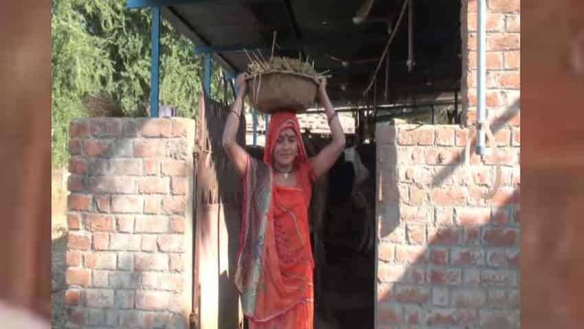 Dharmistha Ben starts Dairy farming in Vadodara