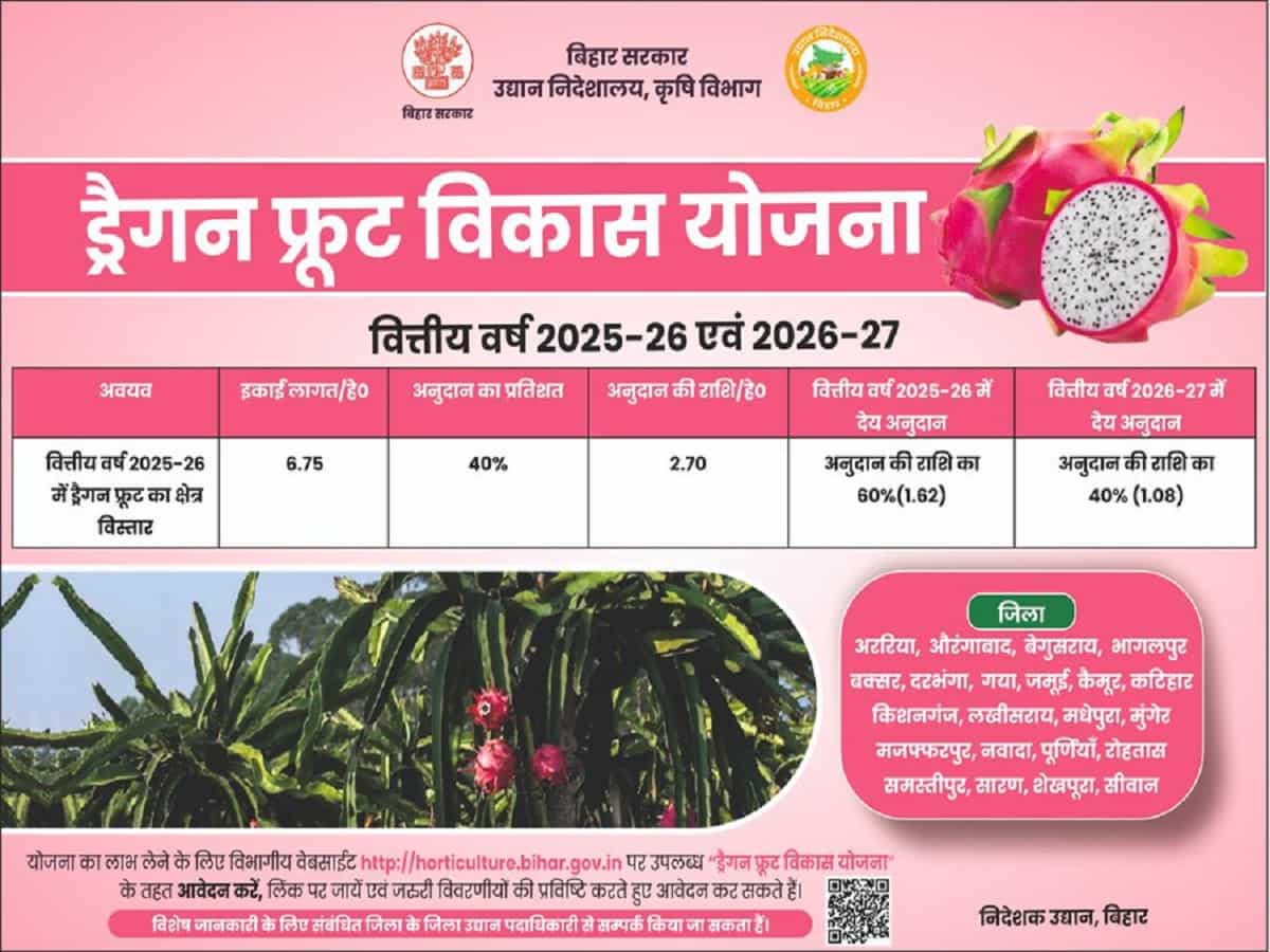 dragon fruit subsidy