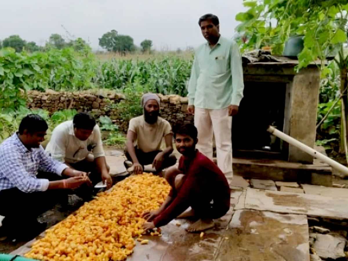 farmers