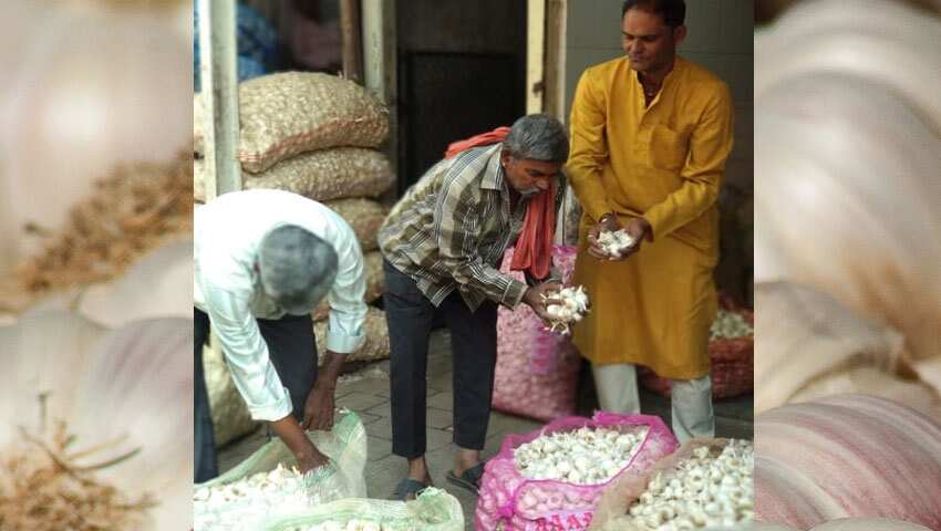 Garlic Farmer