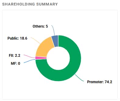 Innovision Shareholding Pattern