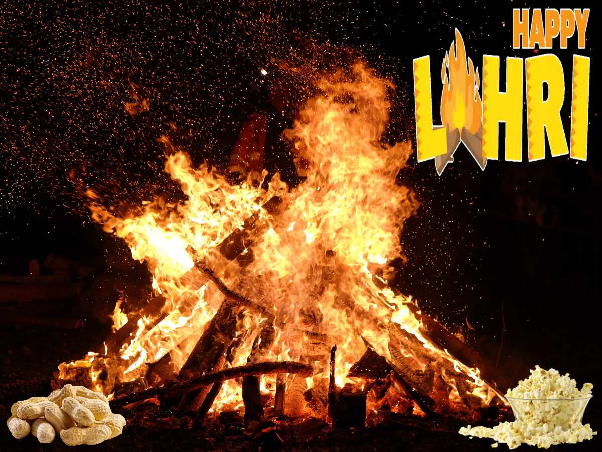 Happy Lohri Wishes 2024 Send wishes to your close ones know how to send gifs and stickers on whatsapp