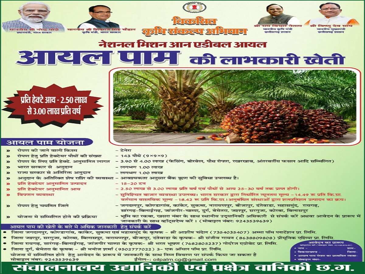palm oil