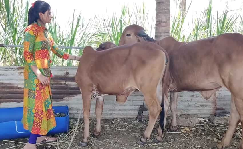  Gujarat's couple Ramde Khunti and Bharti Khunti