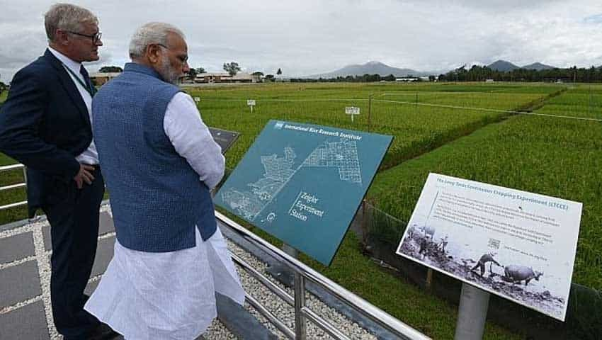 IRRI's South Asia Regional Center