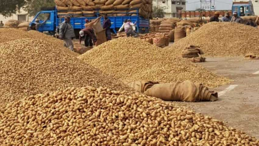 Record production of Peanut