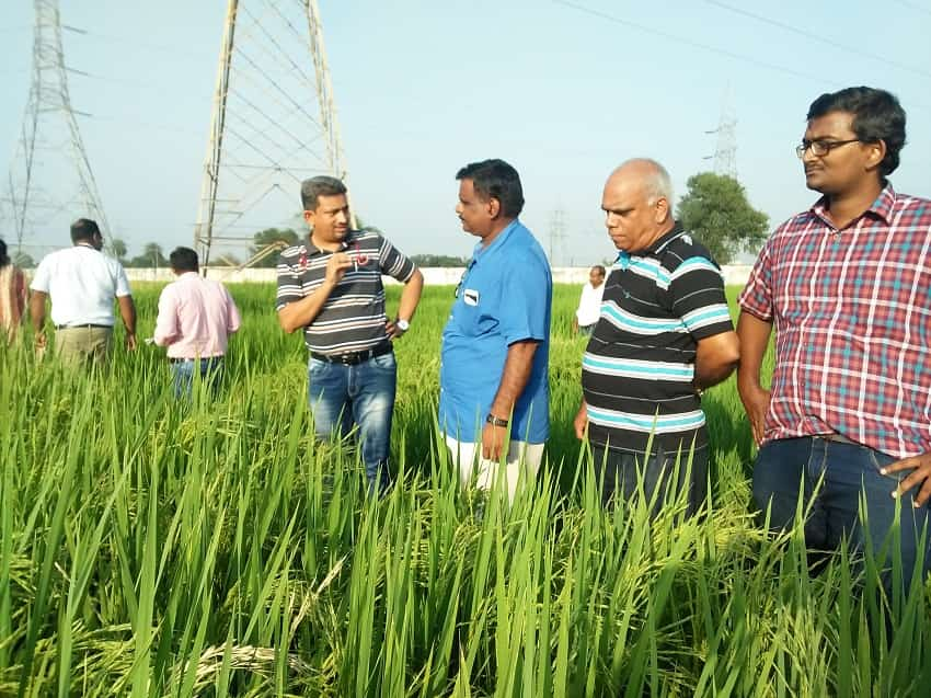 IRRI's South Asia Regional Center