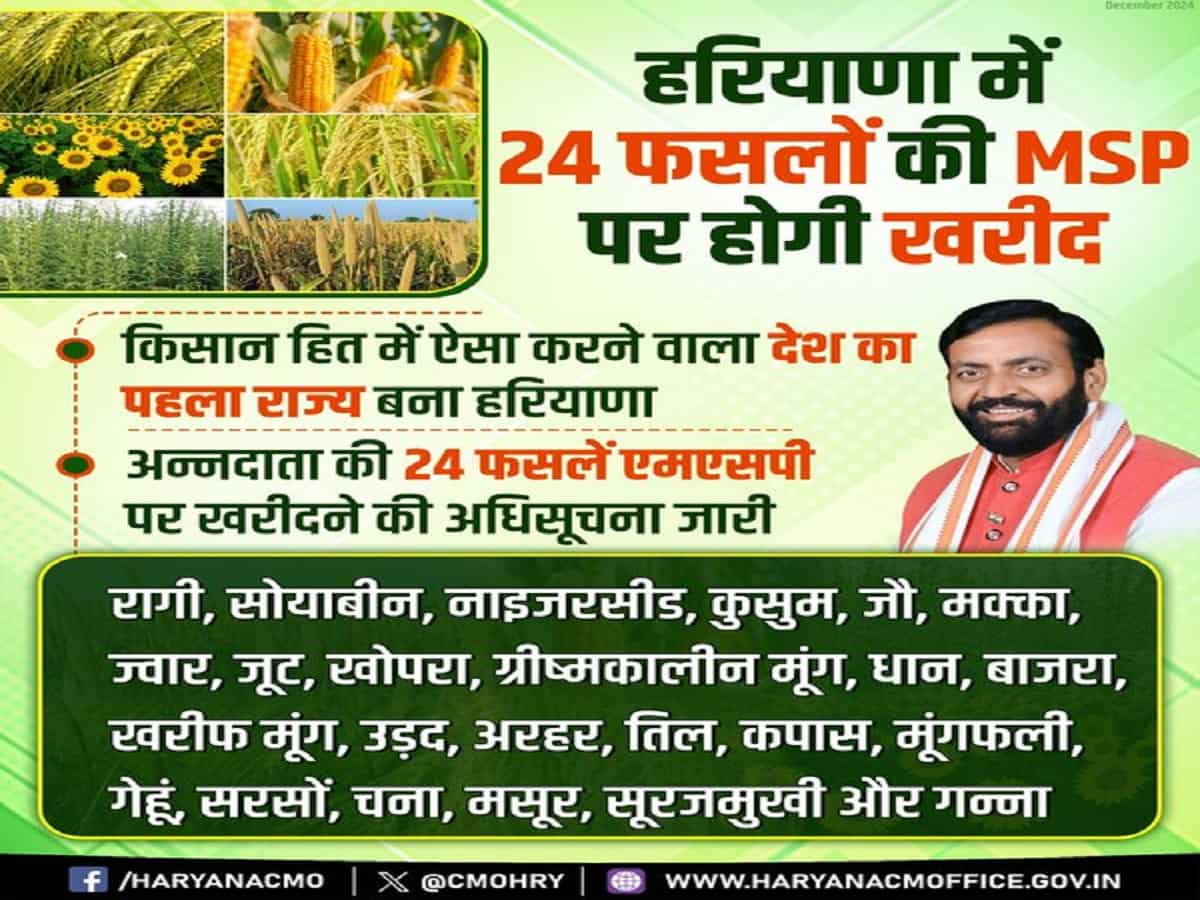 rabi crops msp