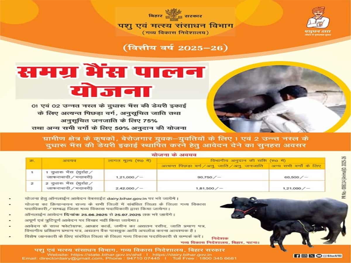 Buffalo palan