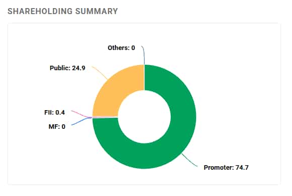 United Drilling Shareholding Pattern