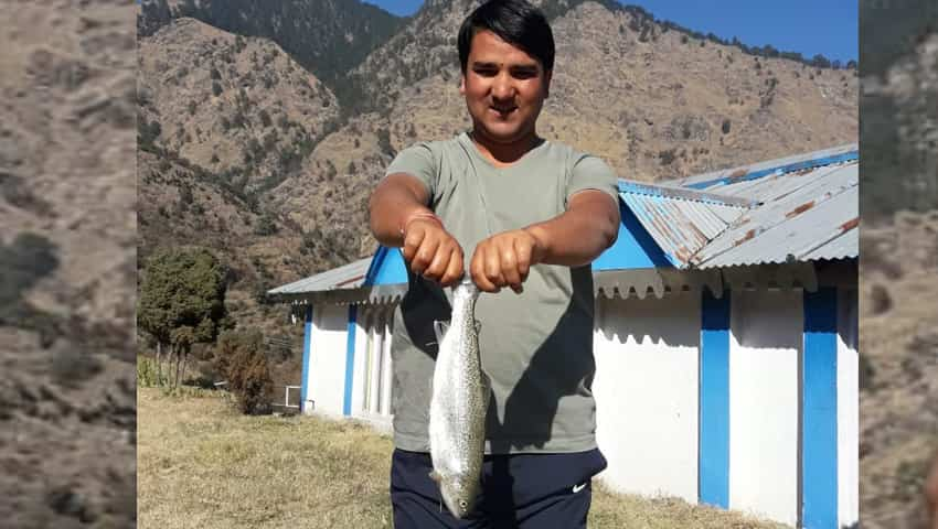 Trout fish farming in Uttarakhand