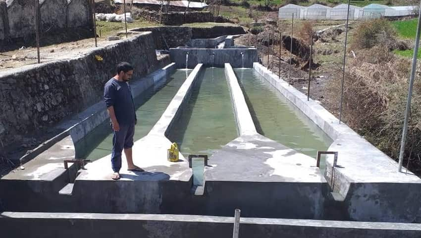 Trout fish farming in Uttarakhand