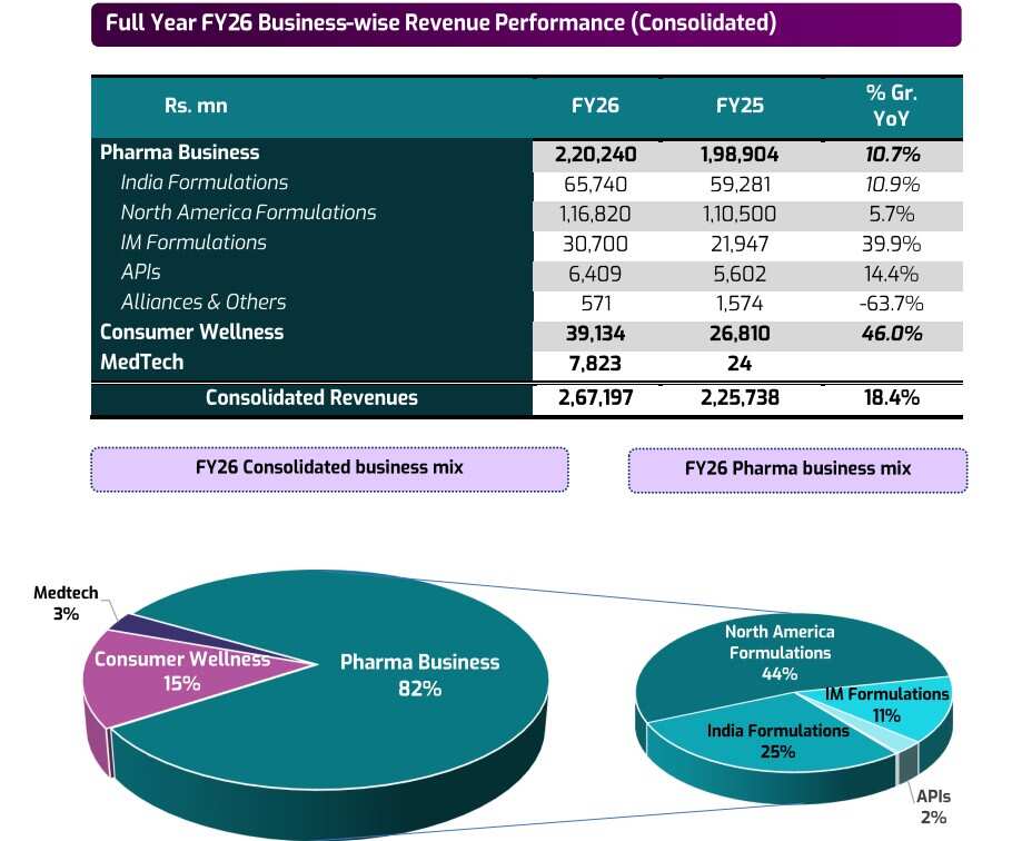 Zydus Lifesciences Business Mix