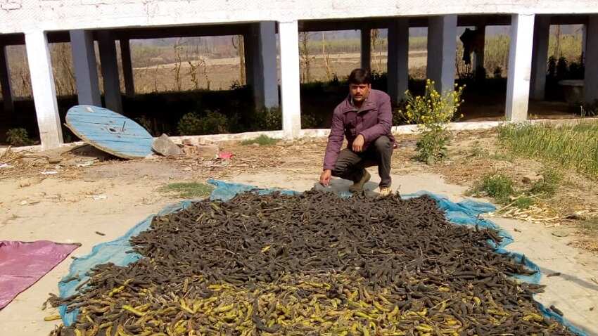 Farmer Avinash Kumar