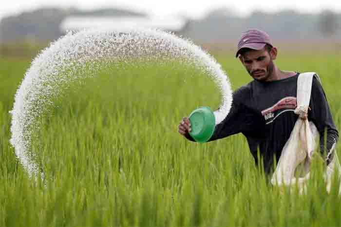 farmer