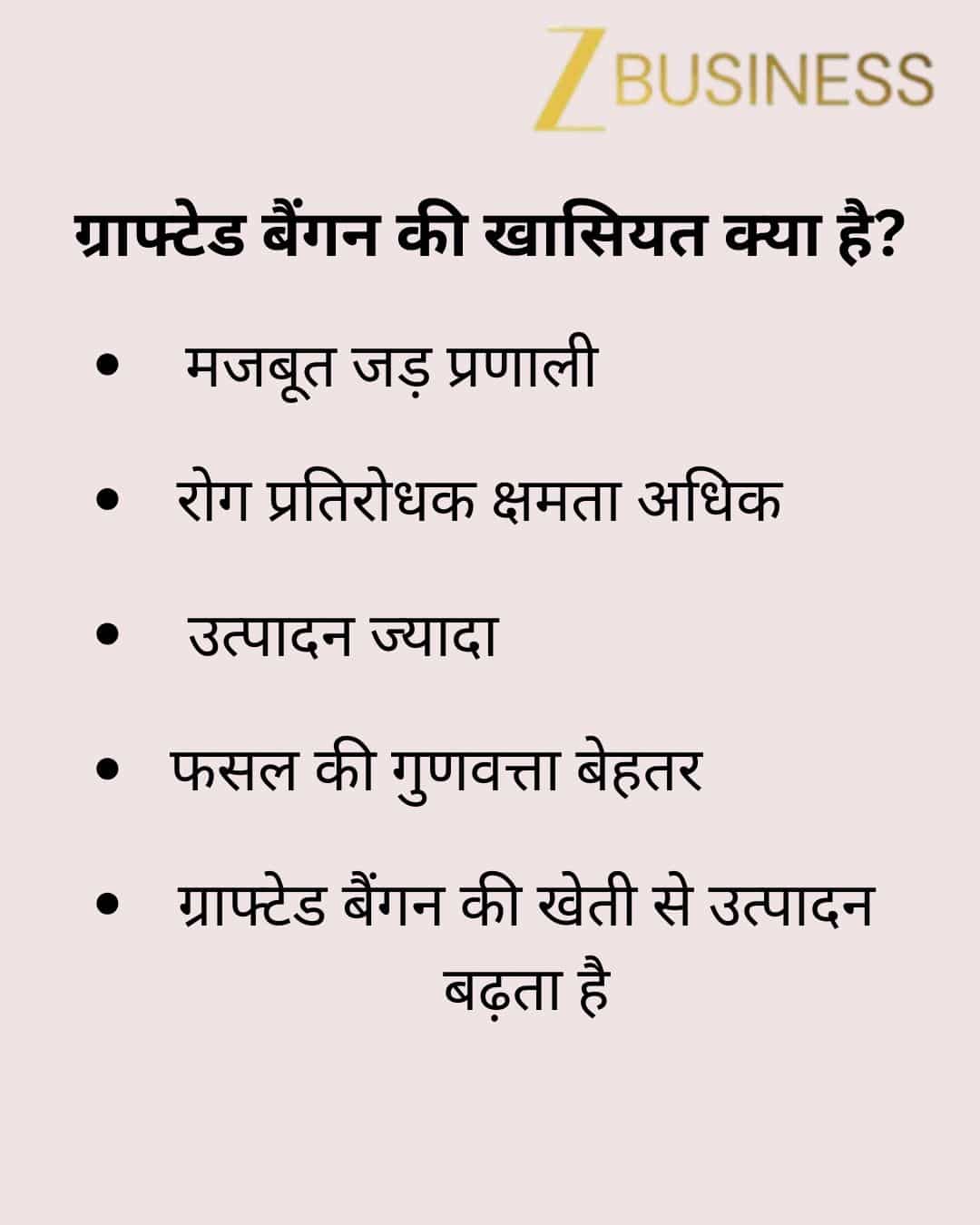 grafted brinjal technique