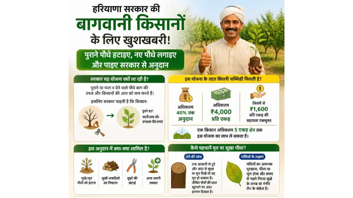 haryana horticulture