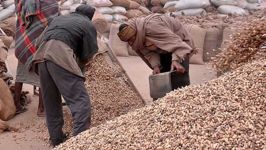 Record production of Peanut