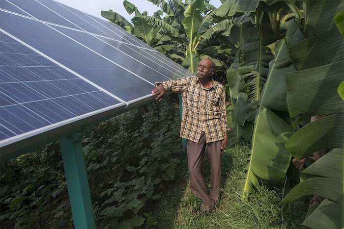 Success story of India's First solar farmer ramanbhai parmar
