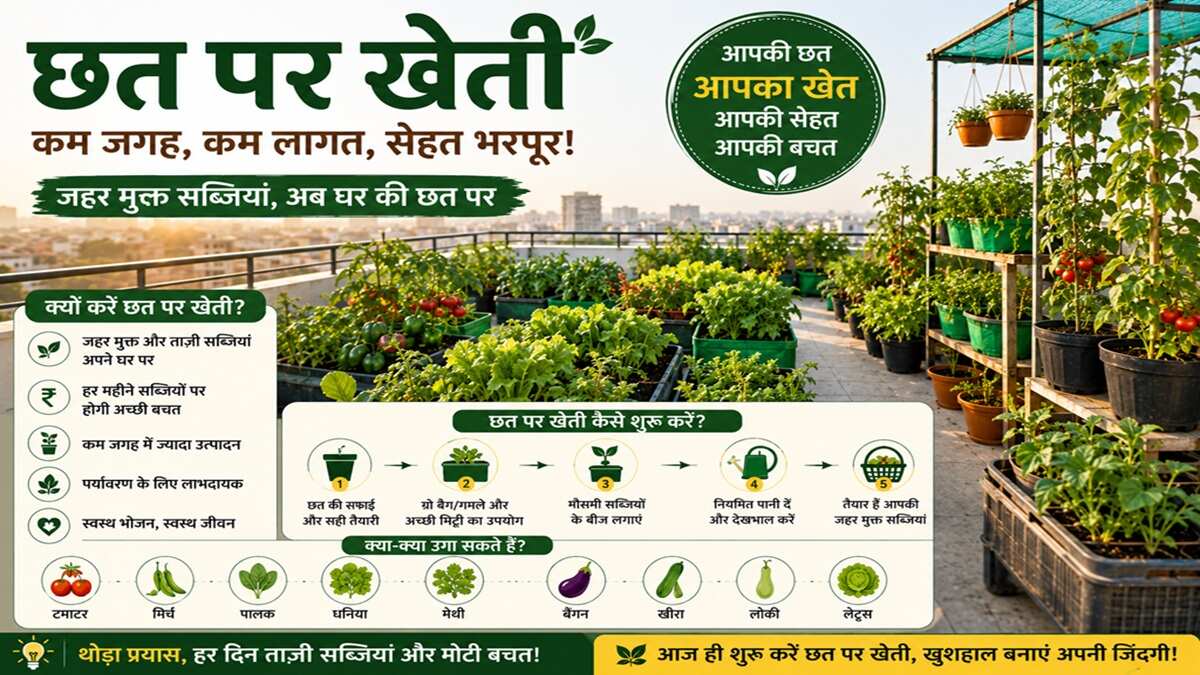 rooftop gardening