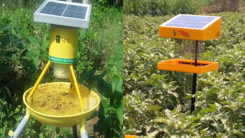 Solar Insect Killer