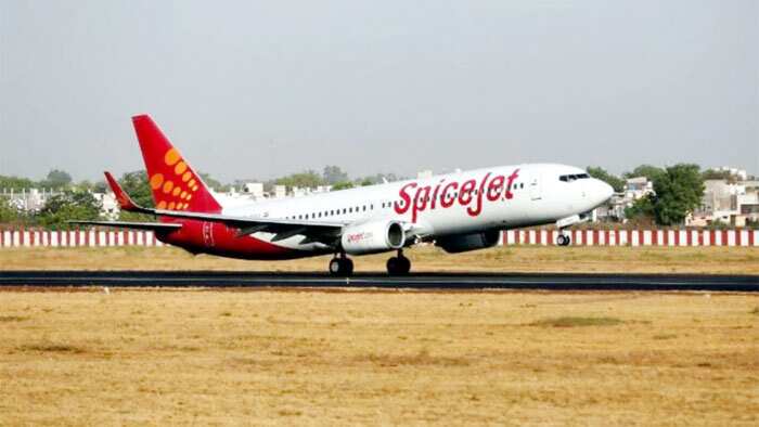 spicejet