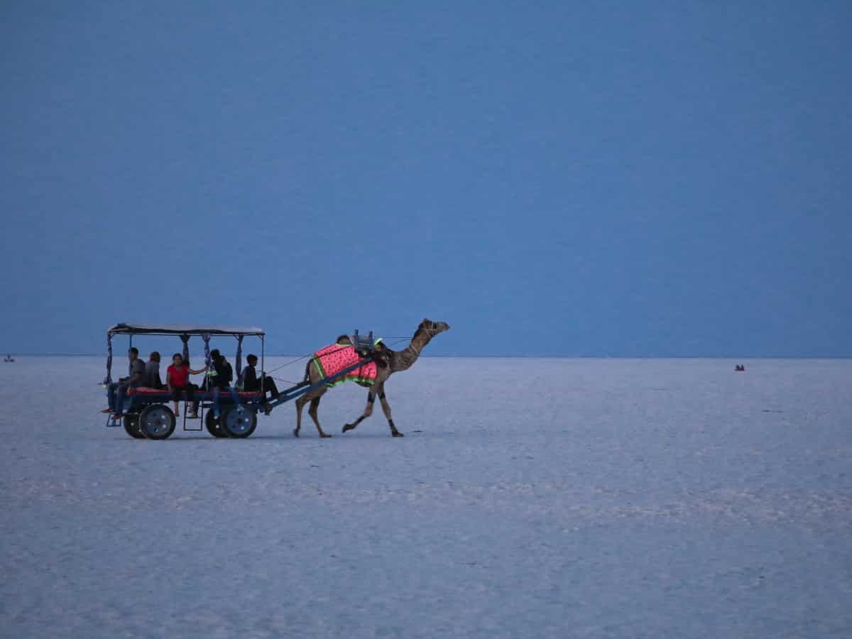 White Rann, The Tent City