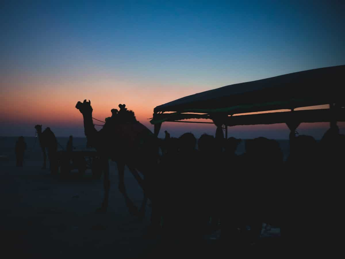 White Rann, The Tent City