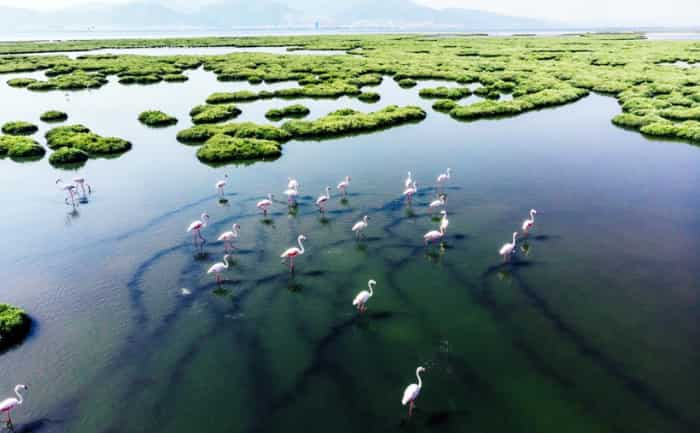 World Wetlands Day 2023: why this day is celebrated , this years theme and its importance