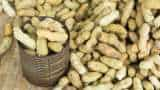 Record production of Peanut