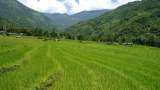 organic food production in Sikkim 