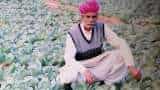 farmer Jagdish Parikh gets Padma Shri in Rajasthan