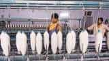 16 percent reduction in budget allocation for textile sector
