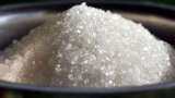 Sugar Production in this Session 185 Lakh Tons -ISMA