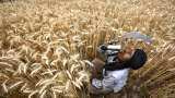 Prime Minister Kisan Yojana: 4.74 crore farmers will get second installment from 1st April