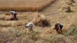 Honest Farmer will get Farm Loan In Rajasthan