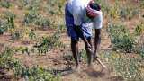 Benefits of contract farming: how farmers profit-new-age farming