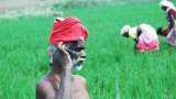 Jharkhand Farmers PM Kisan Samman Nidhi increased by 2000 rupee