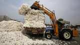 Due to US-China Trade War Cotton Market down