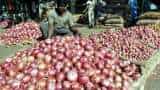 Onion price in retail market increase 75% in one month, Know the reason