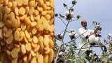 Arhar Cotton and soybean acreage increased; paddy acreage decreased this year