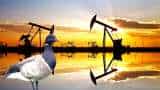 Crude Oil Price- Brent crude was named on the name of a Bird called Brent goose