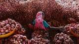 Onion price today in Delhi rs 50-60; it is higher than Apple