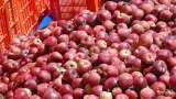 Jammu Kashmir Government Hike Apple Prices Farmers Nafed